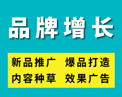 品牌增长和爆款打造
